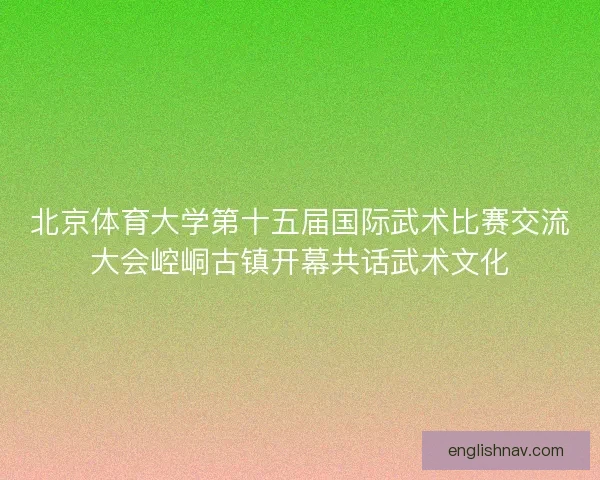 北京体育大学第十五届国际武术比赛交流大会崆峒古镇开幕共话武术文化